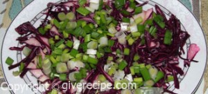 Coleslaw Recipe 