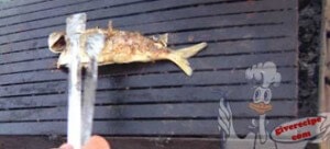 Grilled Fish Recipe