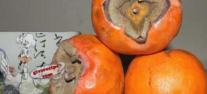 Kaki (Persimmon) Puree, The Saver 
