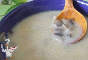 Cream of Mushroom Soup