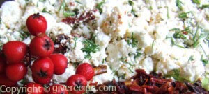 Curd Salad