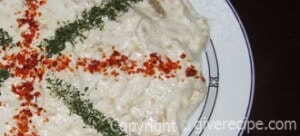 Eggplant/Aubergine with Yogurt