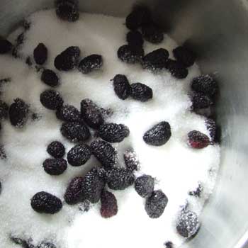 blackmulberry4 blackmulberry4 Black Mulberry Jam
