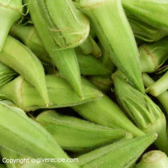 okra1 okra1 Okra With Tomatoes
