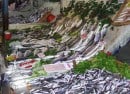fiskmarket1