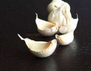 garlic1