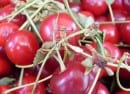 cherry cherry