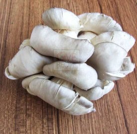 oyster-rmushroom