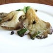 oystermushroom1