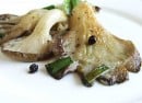 oystermushroom1 oystermushroom1
