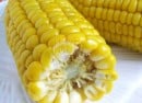 sweet-corn