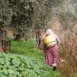 Turkish-woman