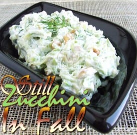 zucchini-mezze1