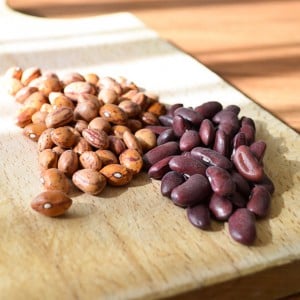 legumes