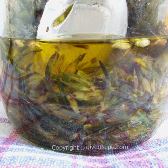 Preserving Fresh Thyme | giverecipe.com Preserving Fresh Thyme | giverecipe.com