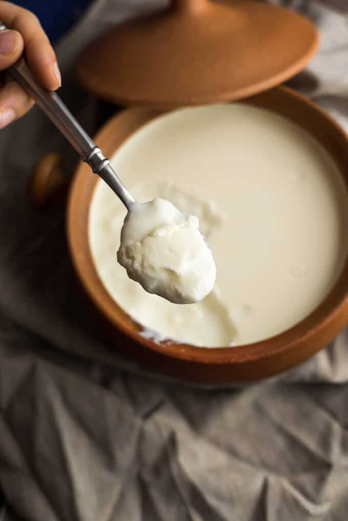 How to make yogurt. So easy to make when you follow these tips! | giverecipe.com