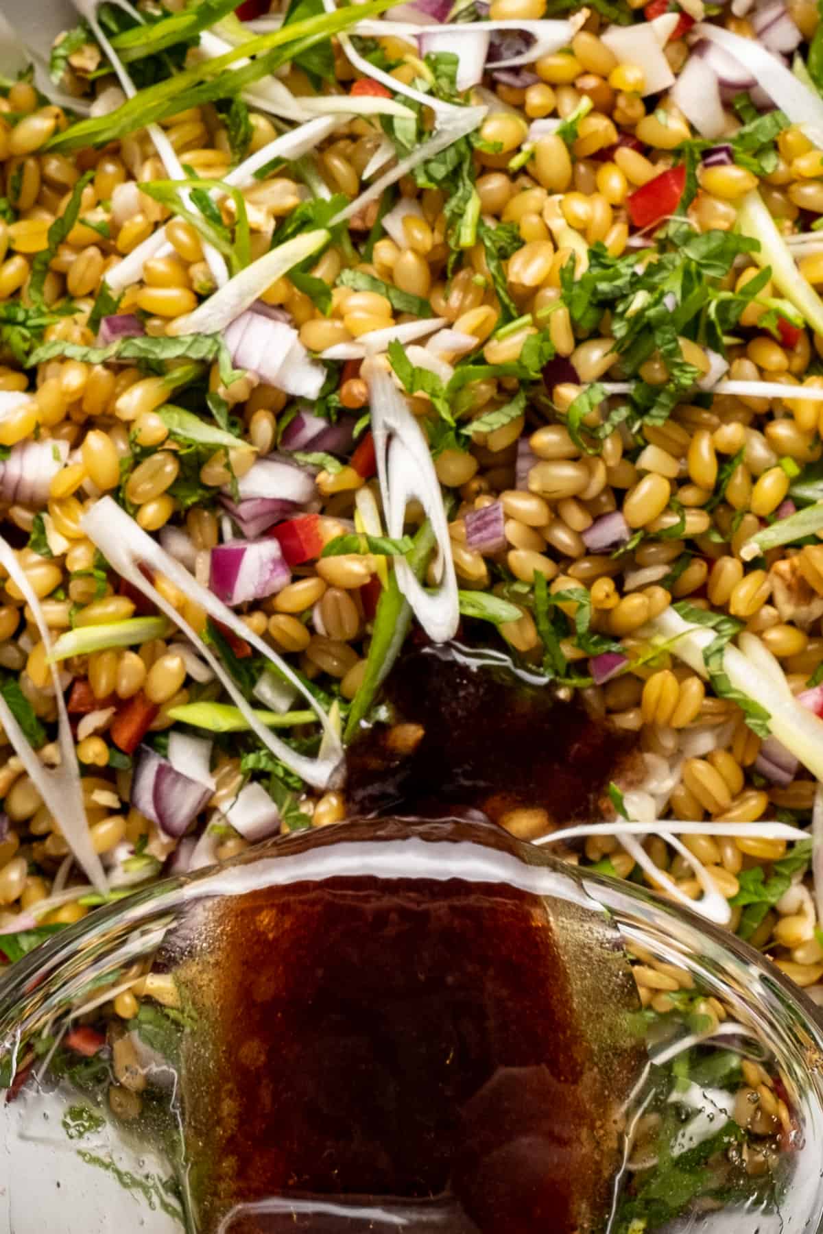 Pomegranate molasses dressing is being poured from a glass bowl over wheat berry salad.