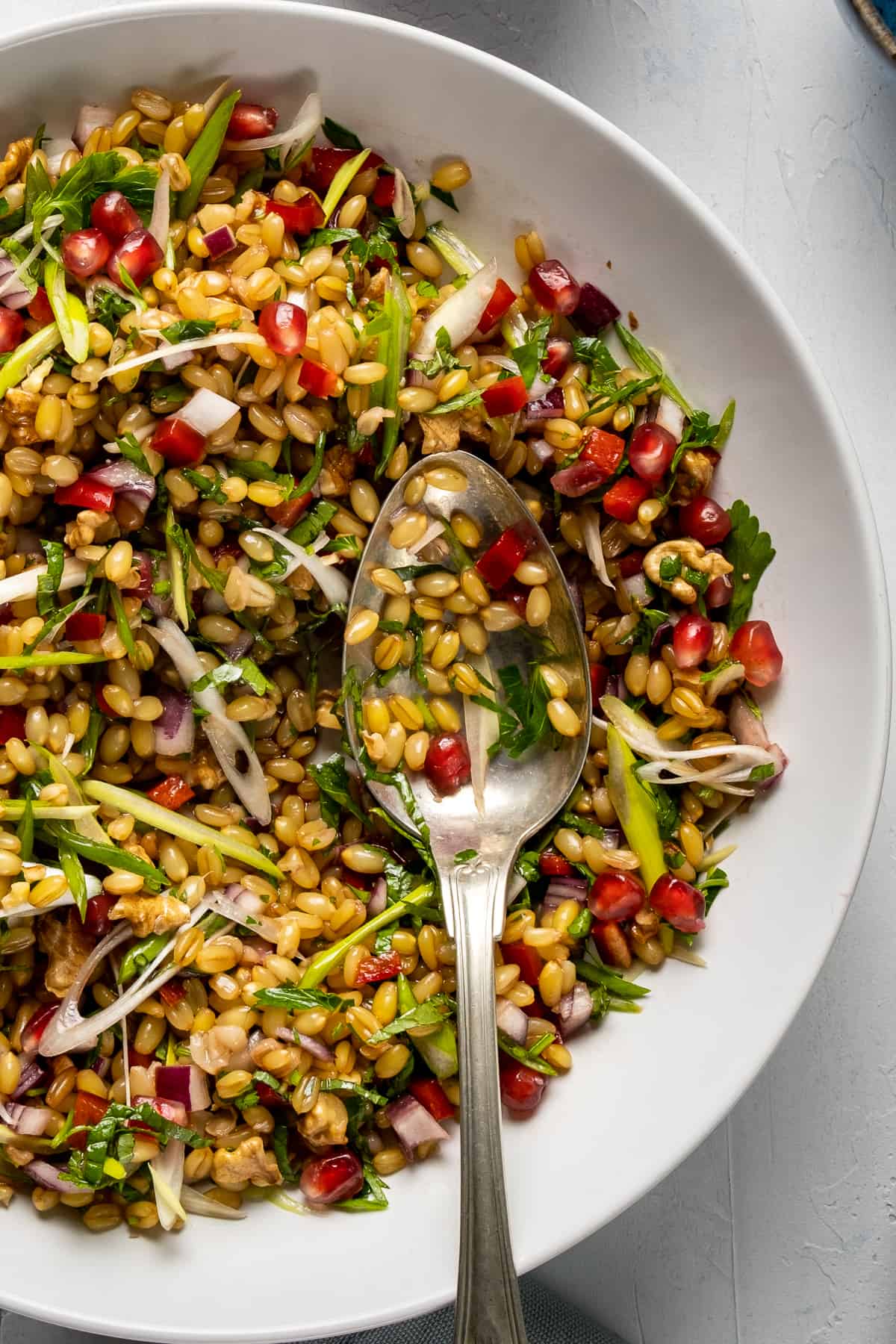 Wheat berry salad with greens and pomegranate arils in a white bowl and a spoon inside it.