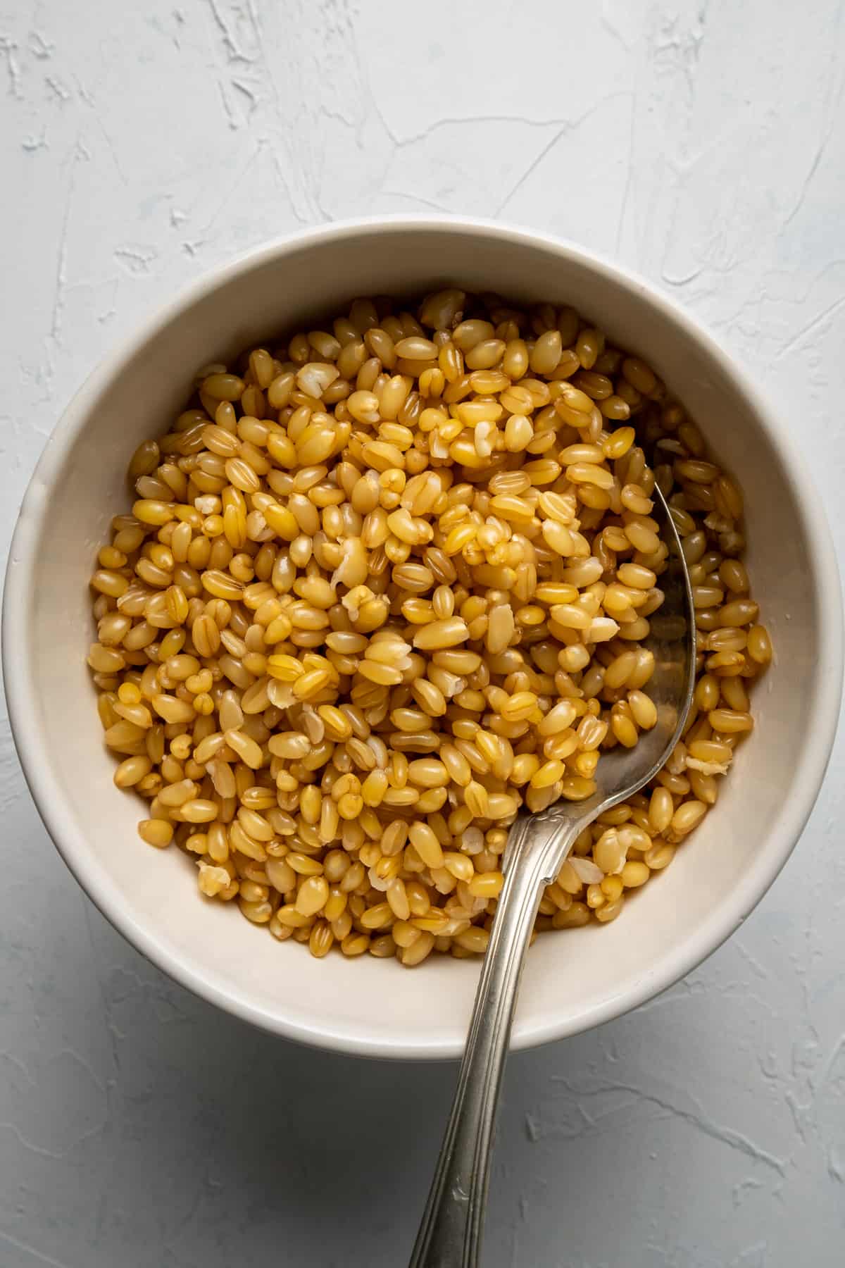 Cooked wheat berries in a white bowl and a spoon in it.