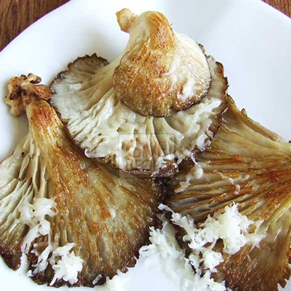 Oyster mushrooms with cheese on a white plate