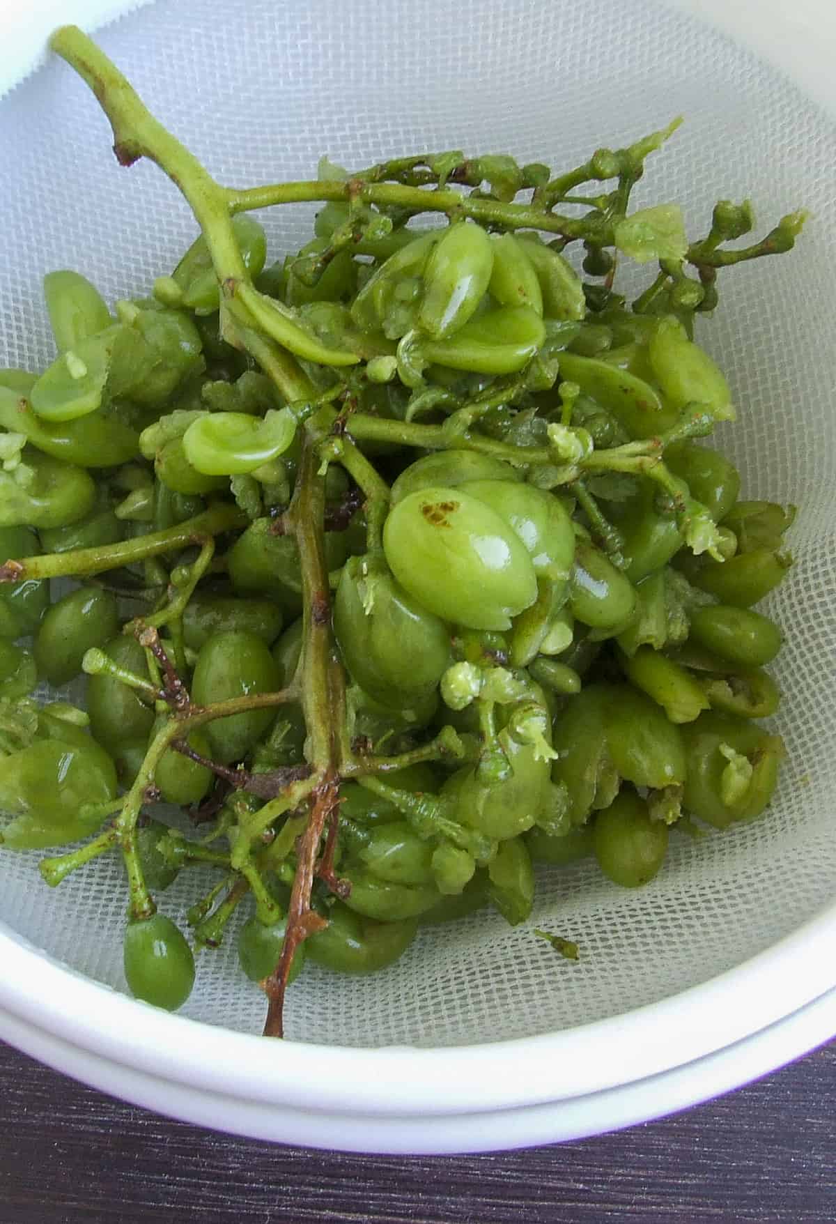 Unripe grapes squeezed a bit in a fine mesh sieve.