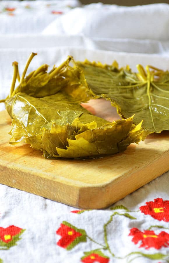 How To Cure Grape Leaves | giverecipe.com