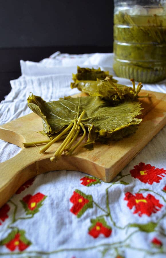 How To Cure Grape Leaves | giverecipe.com How To Cure Grape Leaves | giverecipe.com
