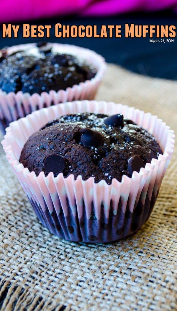 My Best Chocolate Muffins | giverecipe.com | #muffins #chocolate #chocolatechips #chocolatemuffins