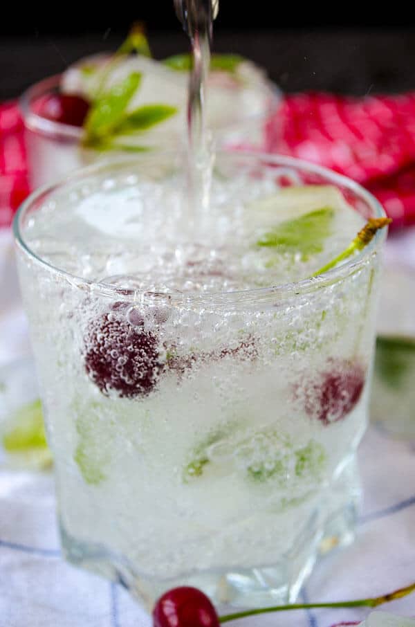 How to Make Mint Ice Cubes |giverecipe.com | #mint #ice #icecubes #summer