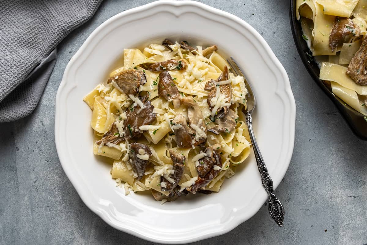 Pappardelle pasta with oyster mushroom cream sauce and grated cheese served in a white bowl with a fork inside it.