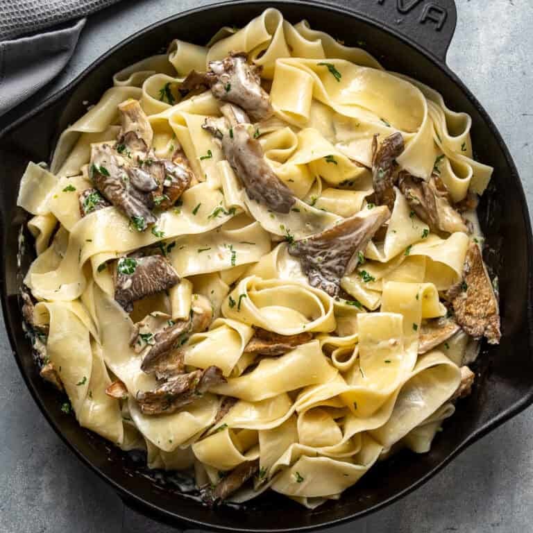 Oyster Mushroom Pasta With A Creamy Sauce - Give Recipe