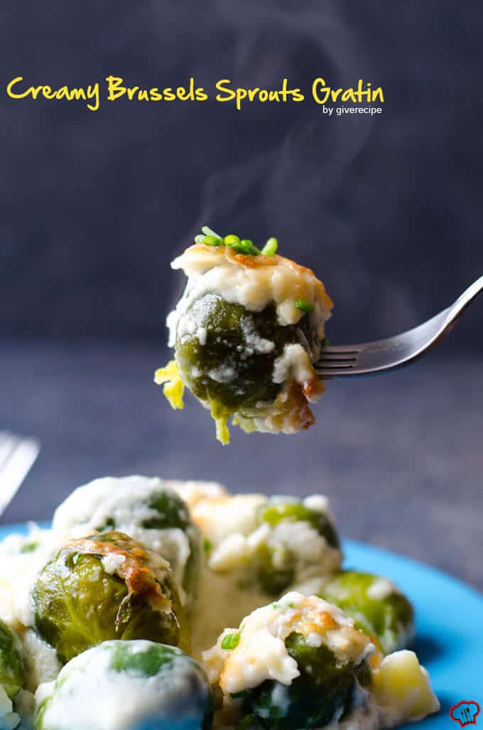 Creamy Brussels Sprouts Gratin |giverecipe.com | #brusselsprouts #gratin