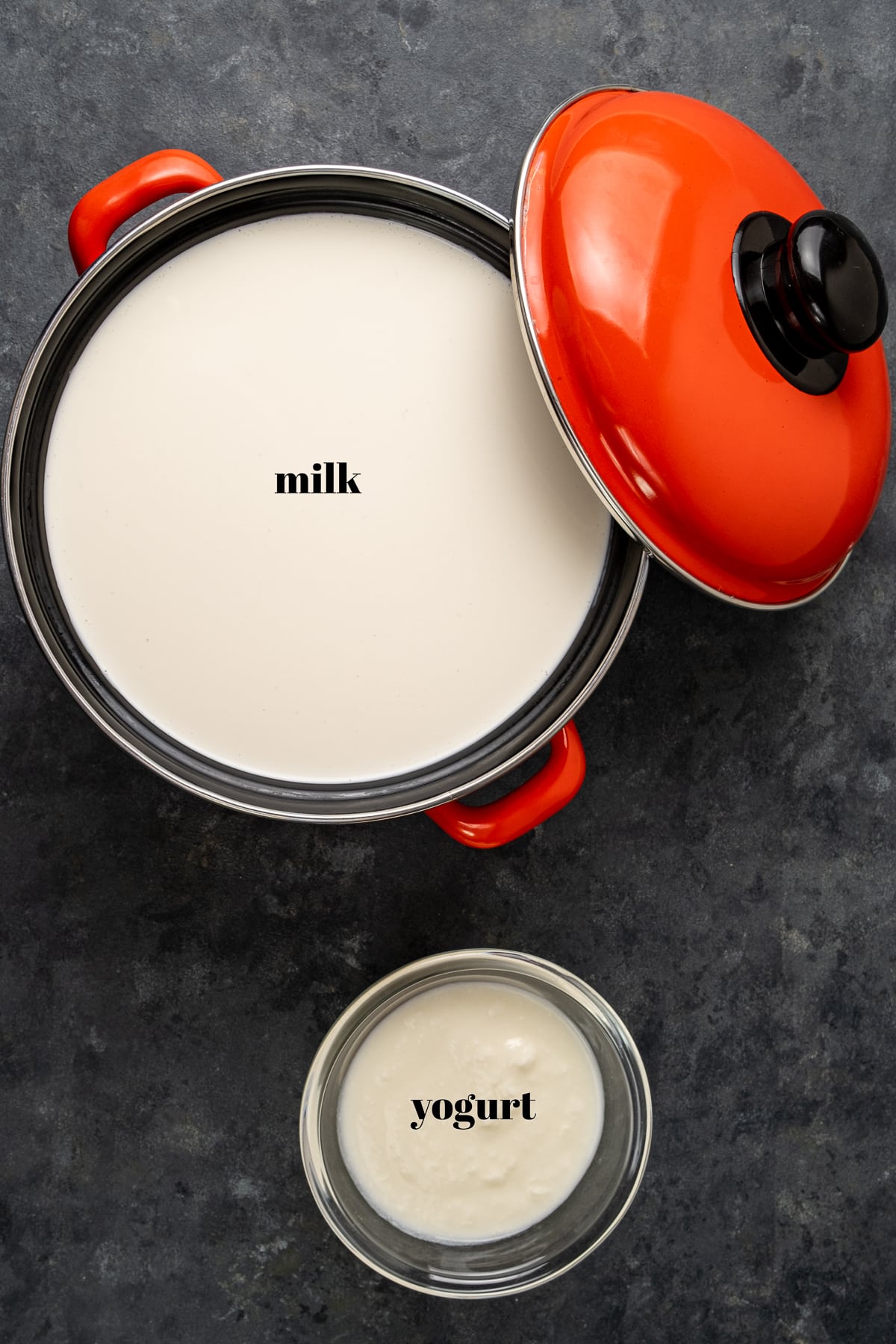 Milk in an enamel pot with a red lid on the side and yogurt in a small bowl on a dark background.