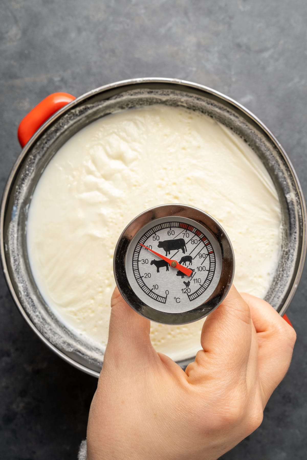 A hand measuring the temperature of milk in a pot with a thermometer.