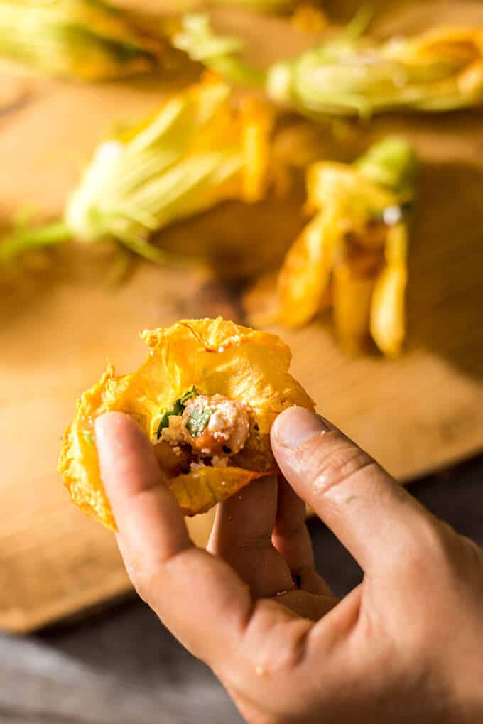 Zucchini blossoms stuffed with cooked shrimps and cheese. Battered and deep fried. These are TO DIE FOR! Disappear in a minute! - giverecipe.com