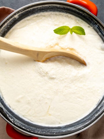 DIY yogurt in an enamel pot with a wooden spoon in it and a sprig of fresh mint on the top.