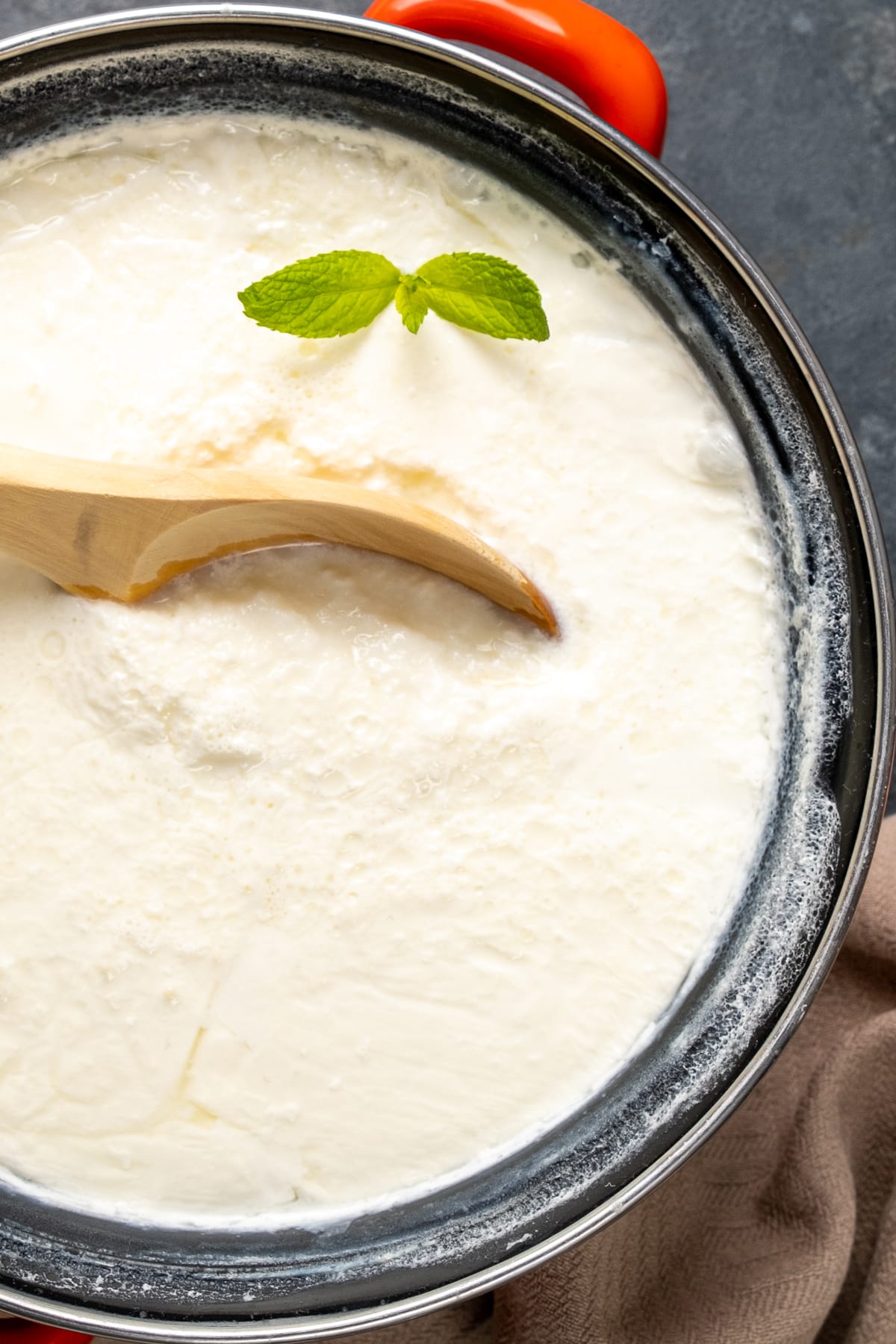 Homemade yogurt in an enamel pot with a wooden spoon in it and a sprig of fresh mint on the top.