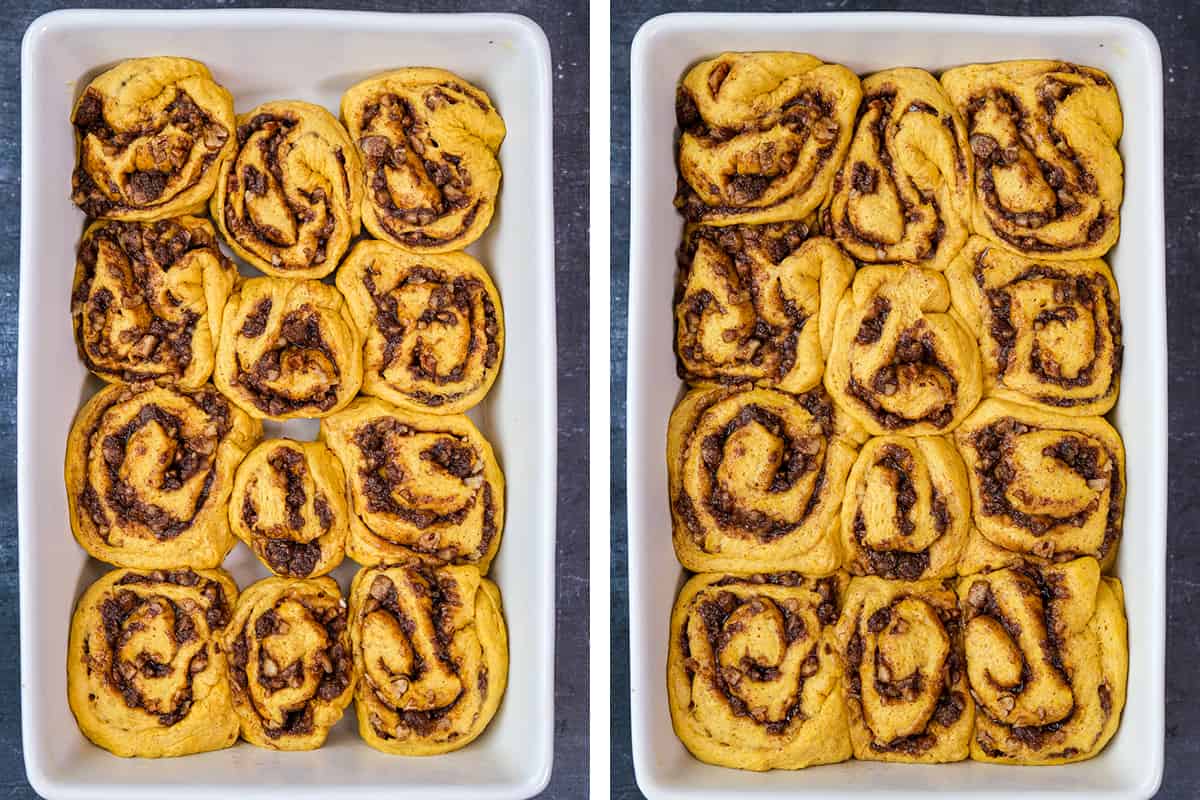 A collage of two pictures showing cinnamon pumpkin rolls in a pan before and after the second rise.