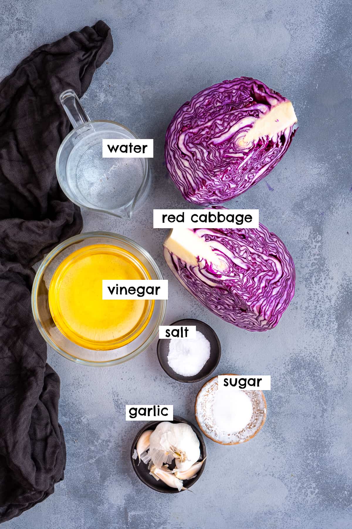 Red cabbage, vinegar, water, garlic, salt and sugar on a light grey background.