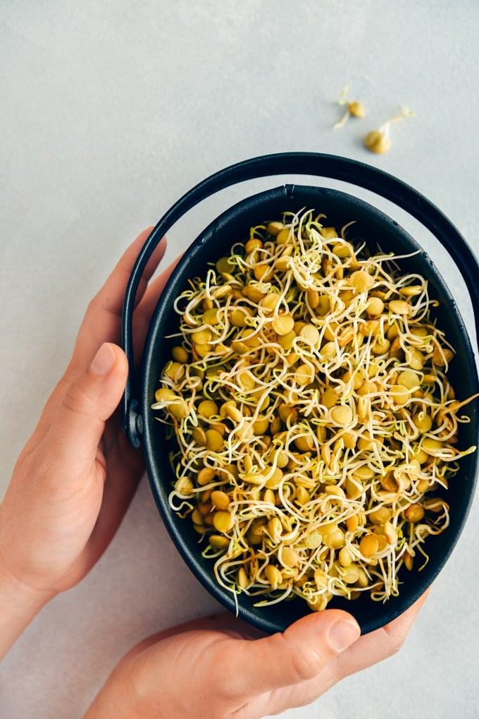 A wonderful healthy vegan side dish with sprouted lentils and corn. So easy to make! #sproutedlentils #veganrecipe #lentilrecipe How to sprout lentils