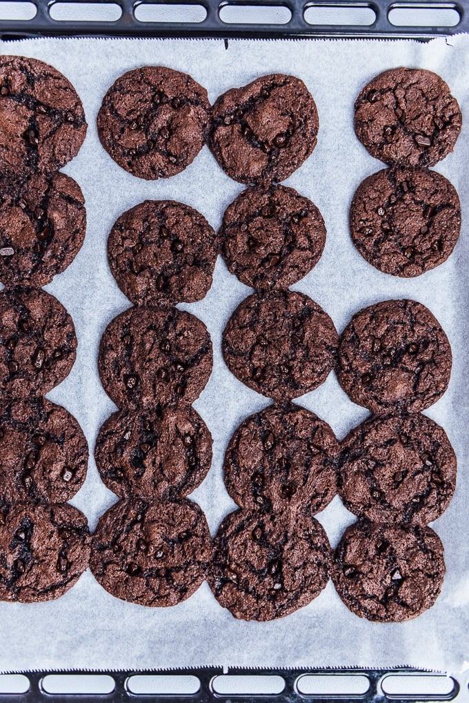 Chocolate cookies right from the oven