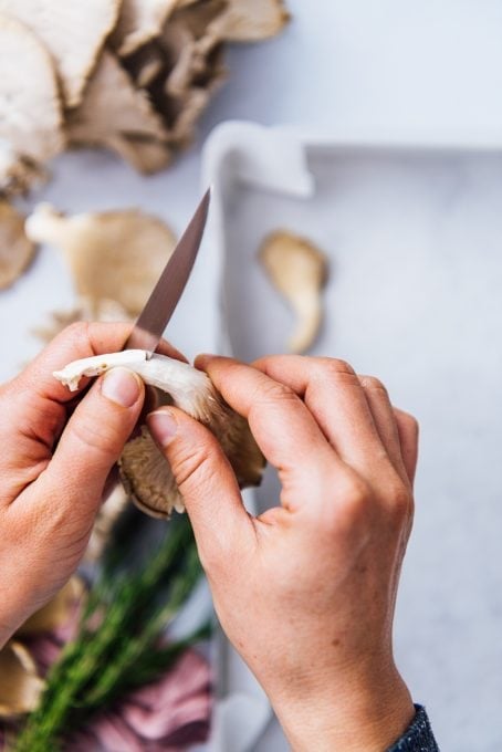 Hands cutting the rubbery stems of oyster mushrooms.