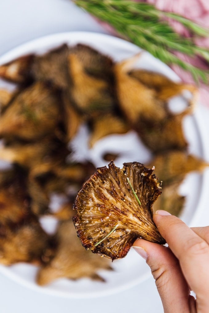 Holding a crispy oyster mushroom roasted in oven