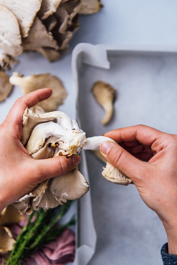 Hands separating oyster mushrooms into pieces.