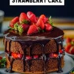 Chocolate cake with ganache drip and fresh strawberries.