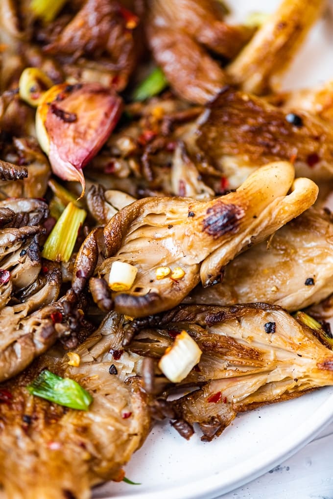 Fried oyster mushrooms in butter with spices, garlic and green onions