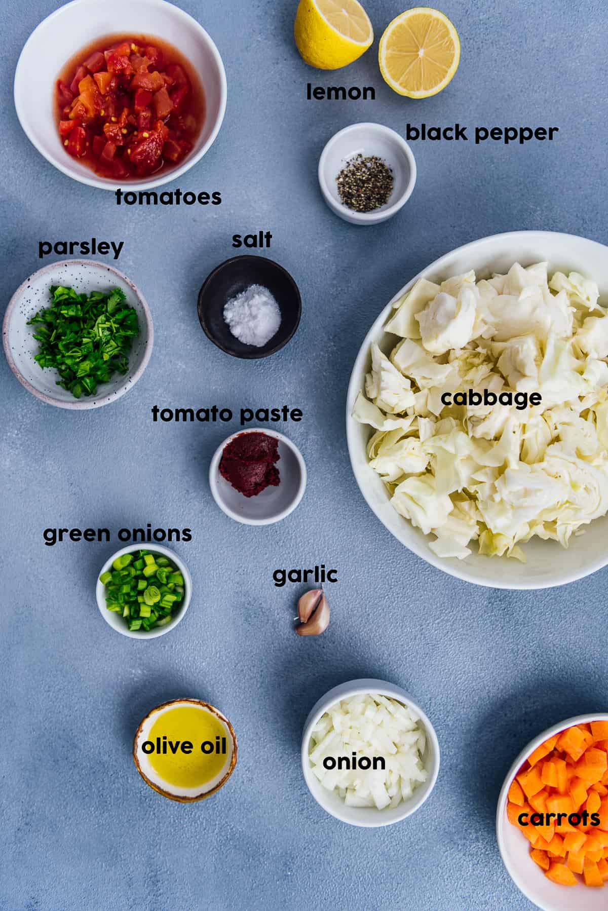 Cabbage soup ingredients photographed on a grey background.