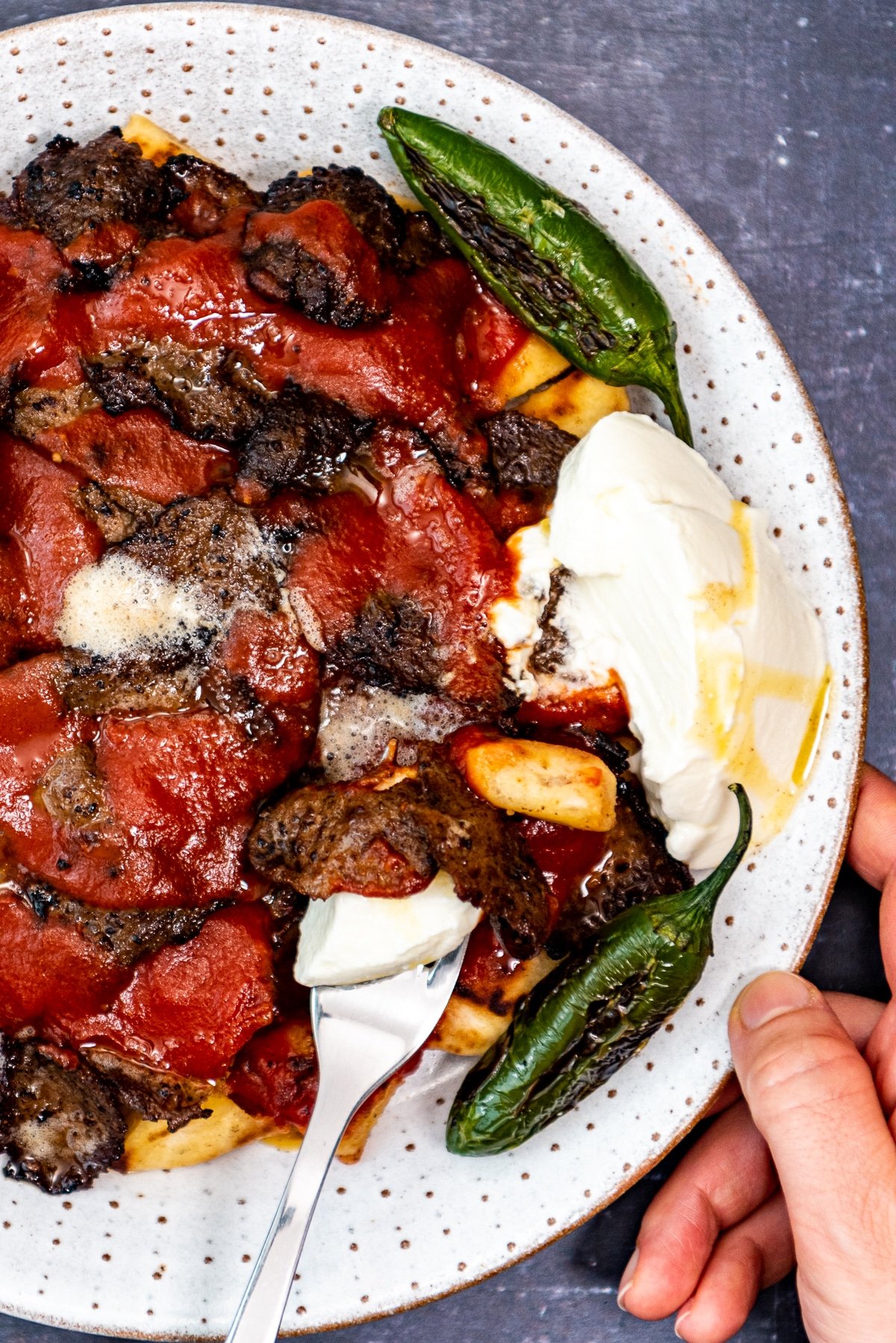 A hand holding the plate of Turkish iskender kebap.