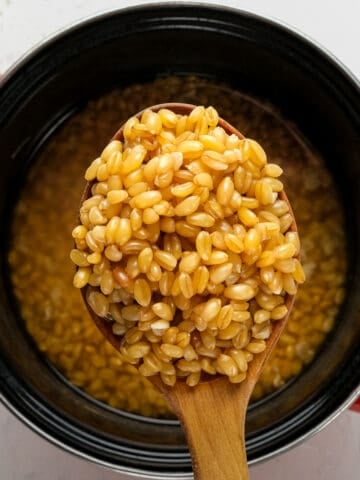 A wooden spoon full of cooked wheat berries over a black enamel pan.