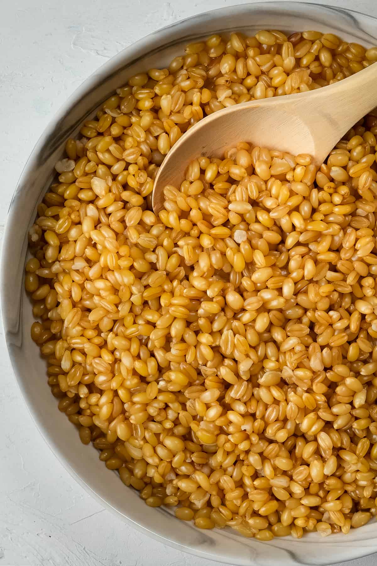 Cooked red wheat berries in a white bowl and a wooden spoon inside it.